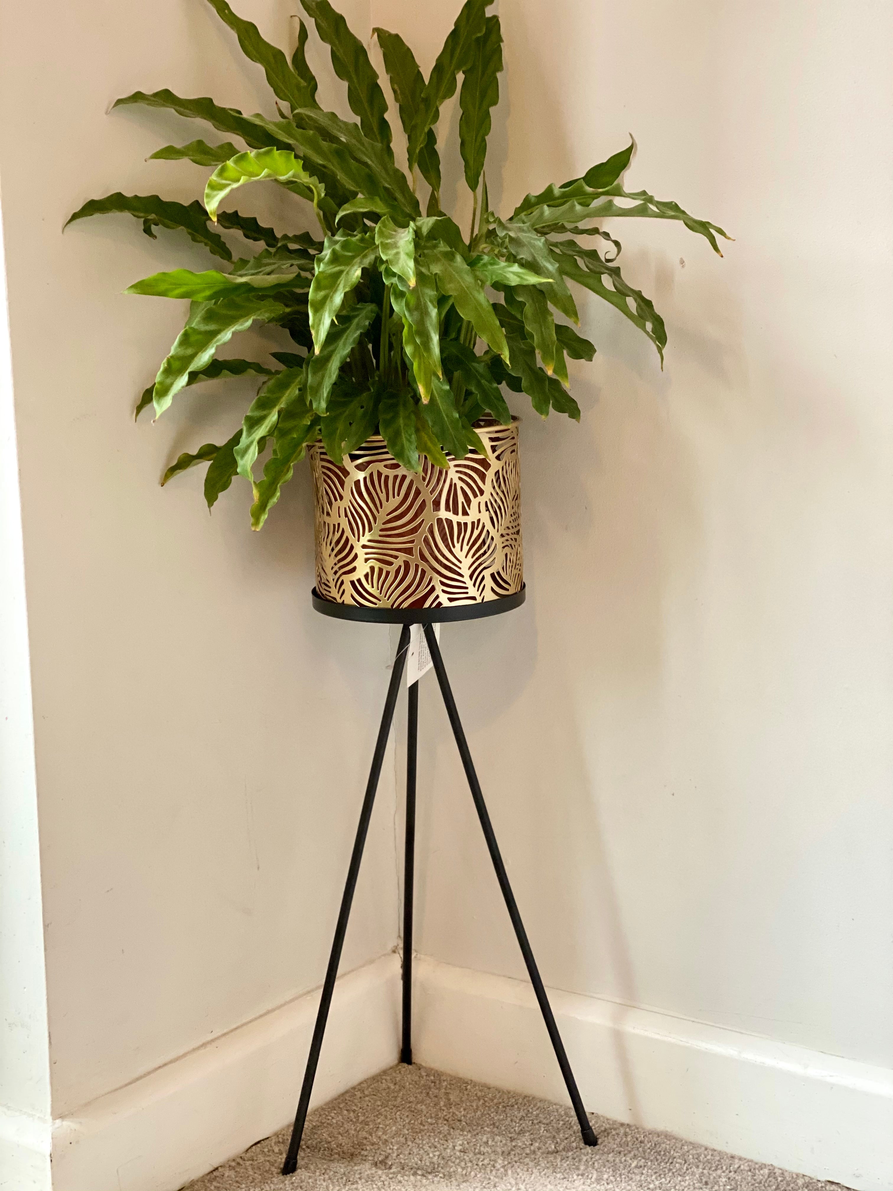 Gold Leaf Plant Pot With Stand Small