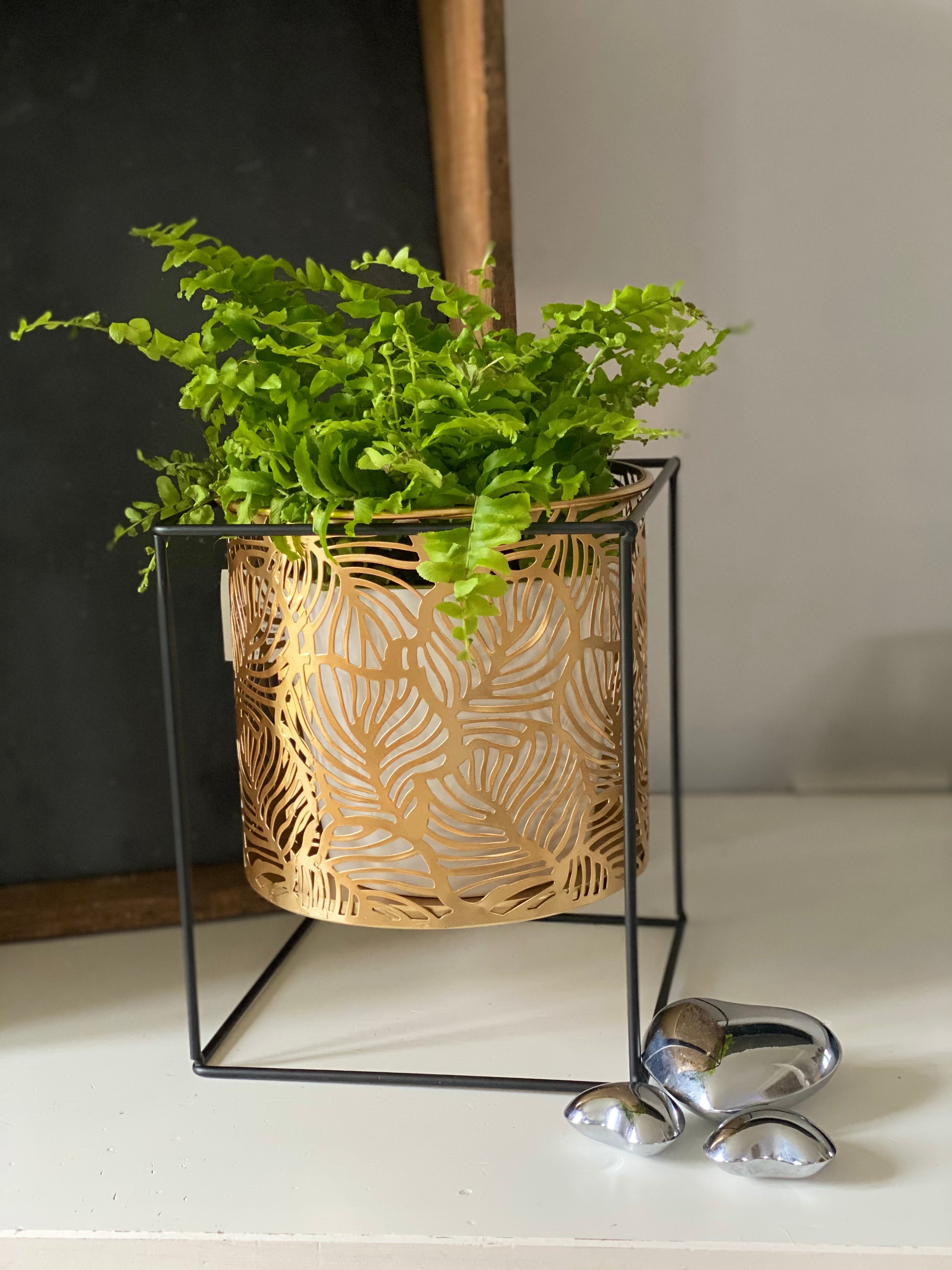 Gold Leaf Plant Pot With Square Stand