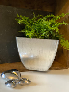 Sliver Recyclable Plant Pot